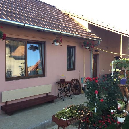 Casa Rustica Cu Terasa Villa Mediaş Dış mekan fotoğraf