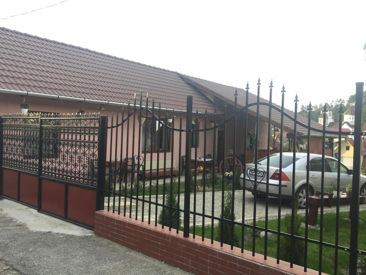 Casa Rustica Cu Terasa Villa Mediaş Dış mekan fotoğraf