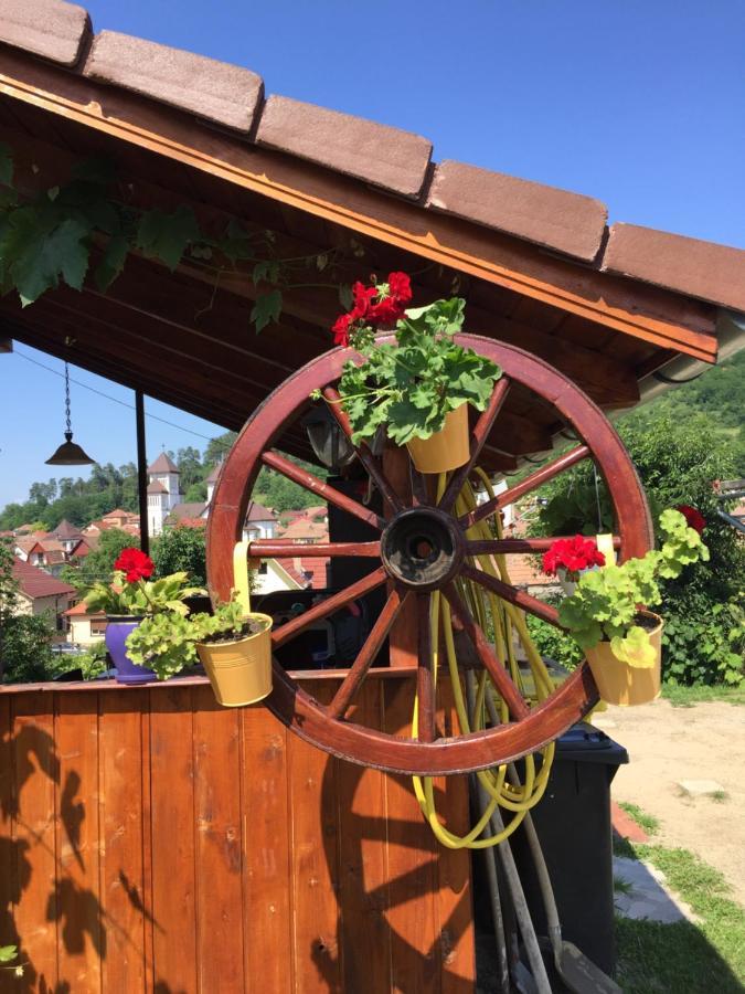Casa Rustica Cu Terasa Villa Mediaş Dış mekan fotoğraf