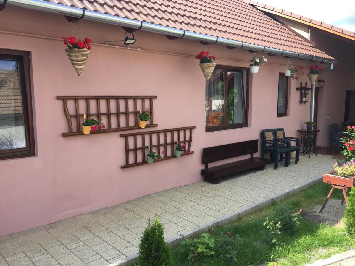 Casa Rustica Cu Terasa Villa Mediaş Dış mekan fotoğraf