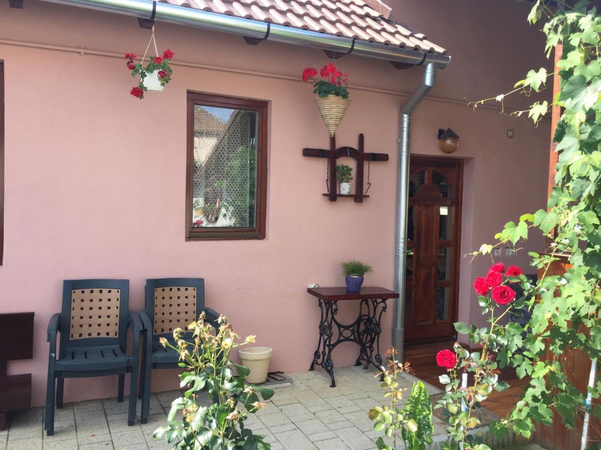 Casa Rustica Cu Terasa Villa Mediaş Dış mekan fotoğraf