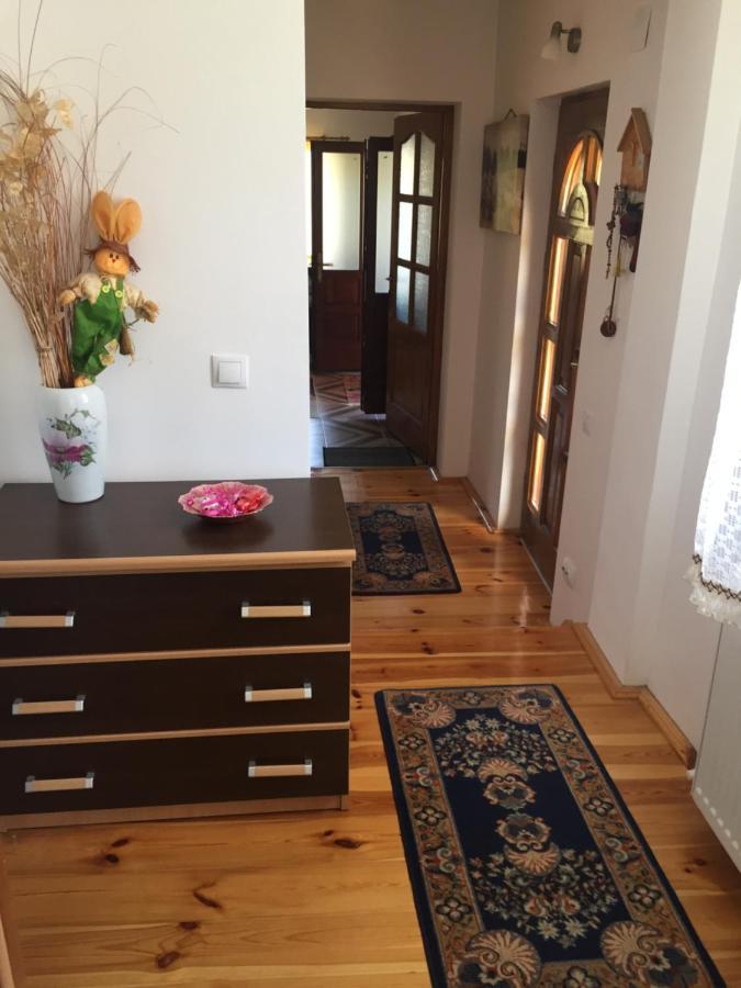 Casa Rustica Cu Terasa Villa Mediaş Dış mekan fotoğraf