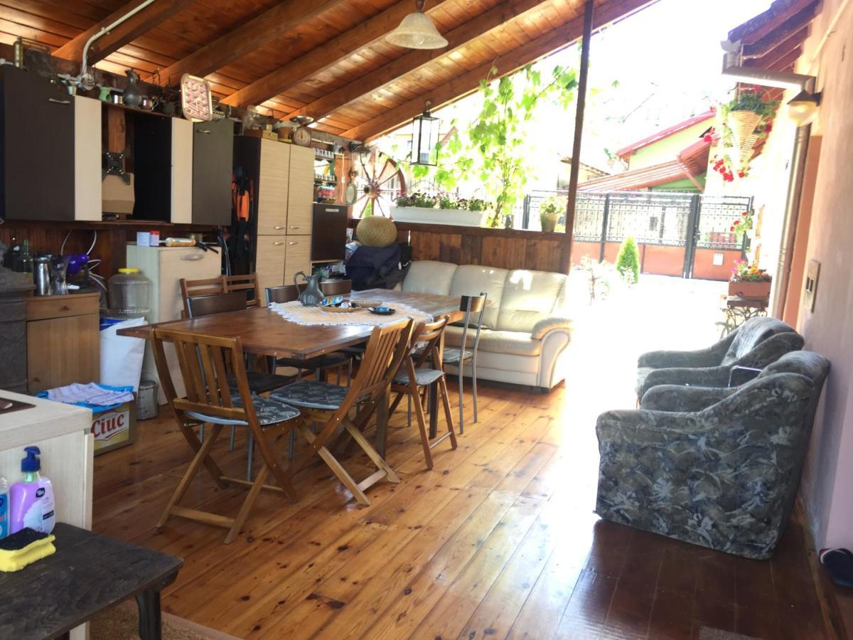 Casa Rustica Cu Terasa Villa Mediaş Dış mekan fotoğraf